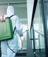 WhatsApp Image 2025-11-20 at 11.57.30 AM (1)