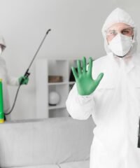 WhatsApp Image 2025-11-20 at 11.57.30 AM