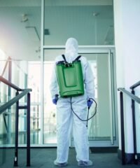 WhatsApp Image 2025-11-20 at 11.57.31 AM