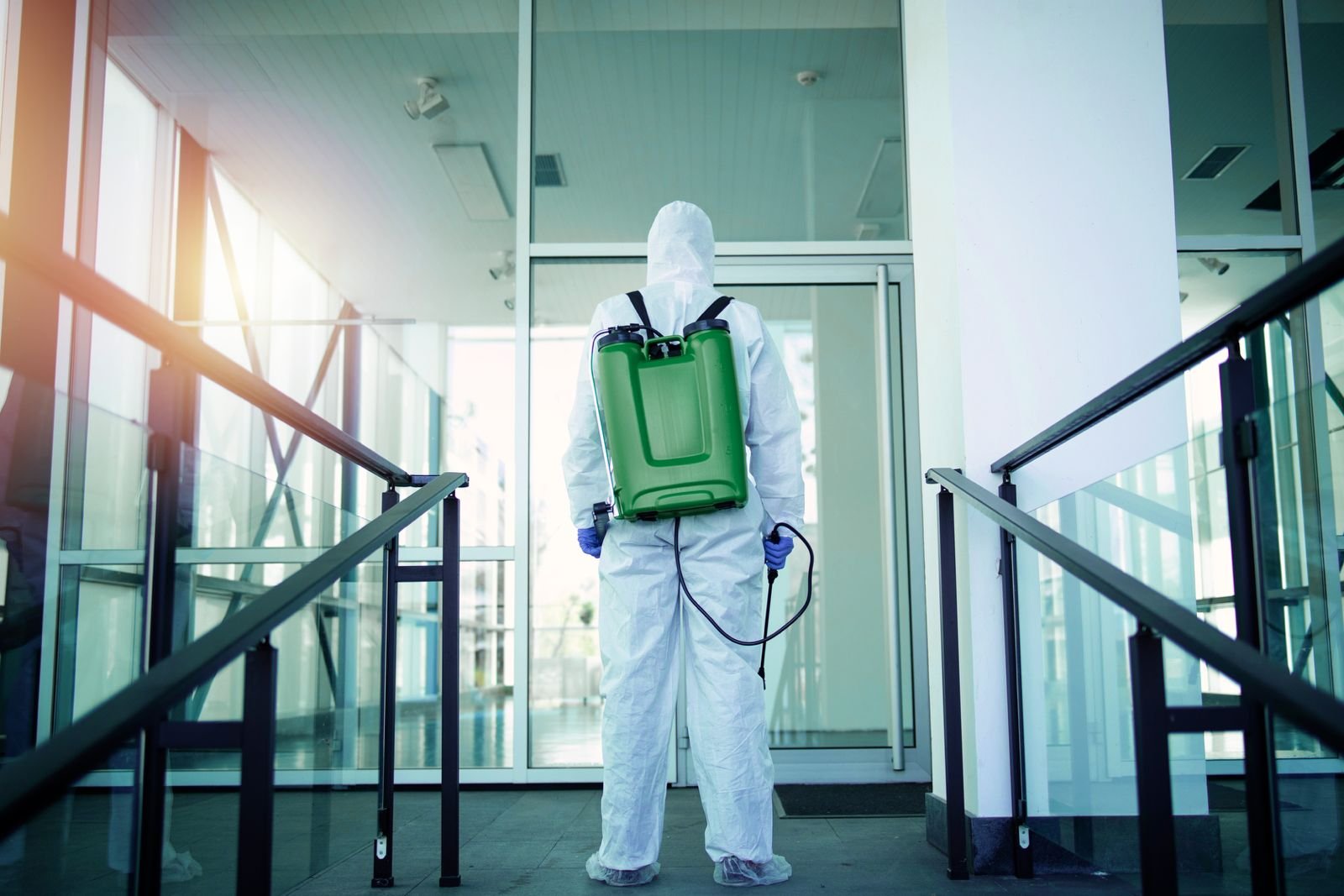 WhatsApp Image 2025-11-20 at 11.57.31 AM